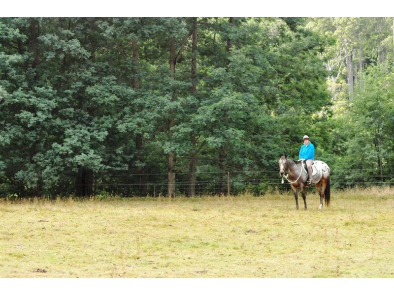 1740 Frankford Road, Frankford TAS 7275