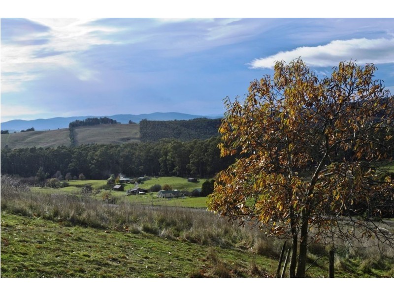 16 Lamont Road, Glengarry TAS 7275