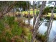 2 Calcutta Road, Kelso TAS 7270