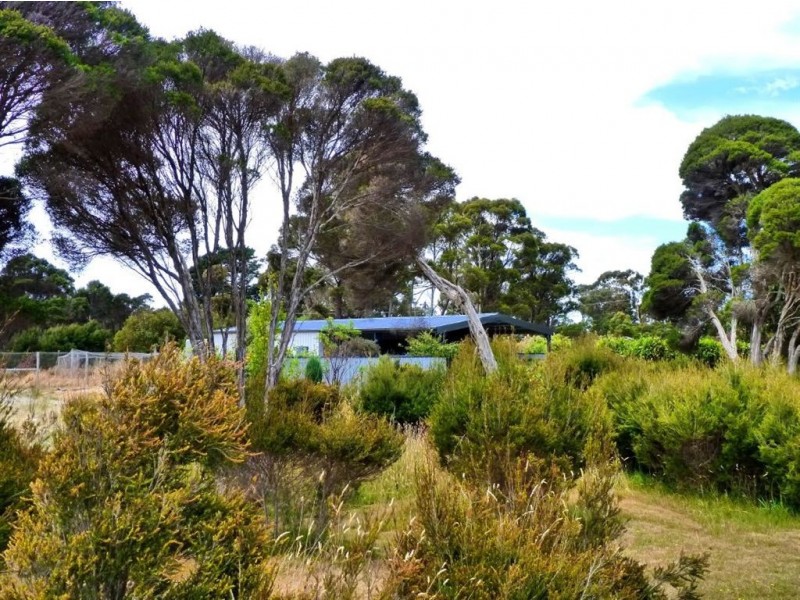 2 Calcutta Road, Kelso TAS 7270