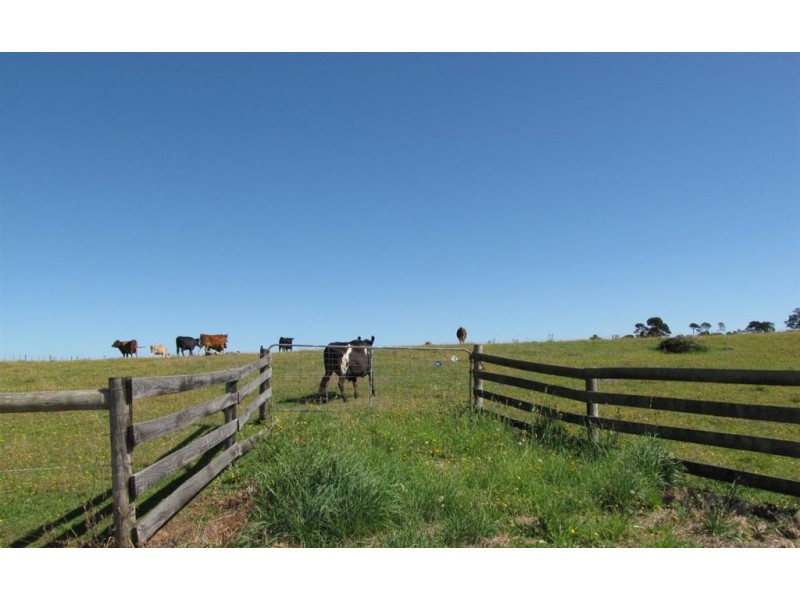 Lot 1 Rowella Road, Rowella TAS 7270