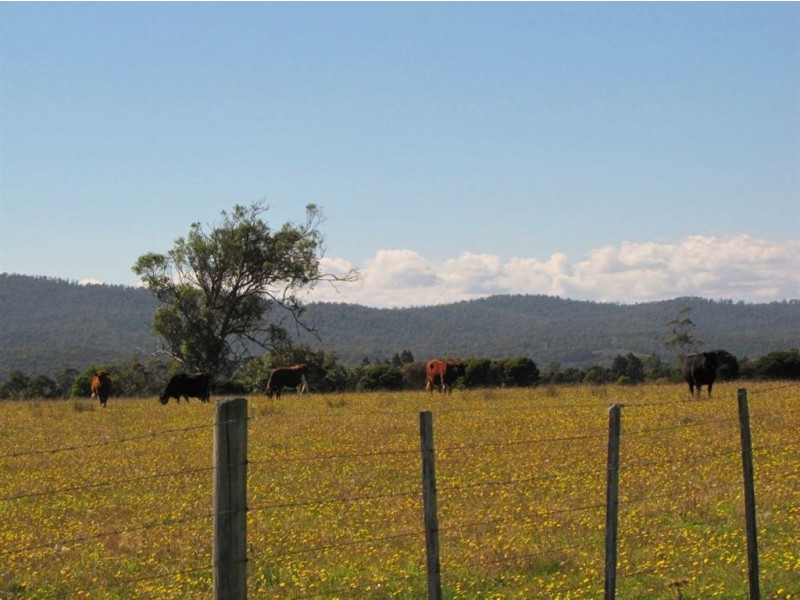 Lot 1 Rowella Road, Rowella TAS 7270