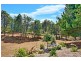 1726 Holwell Road, Frankford TAS 7275
