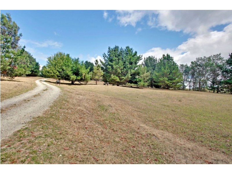 1726 Holwell Road, Frankford TAS 7275