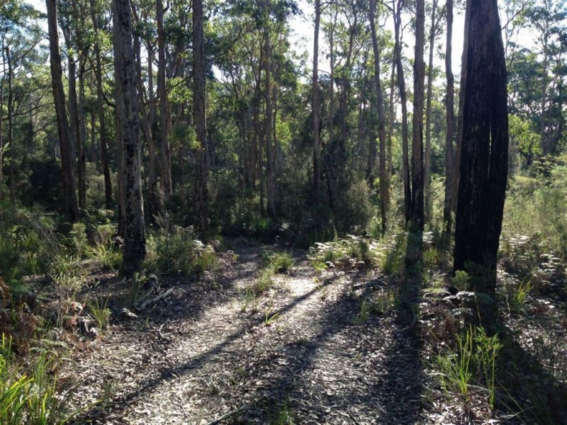 290 Collins Lane, Sidmouth TAS 7270