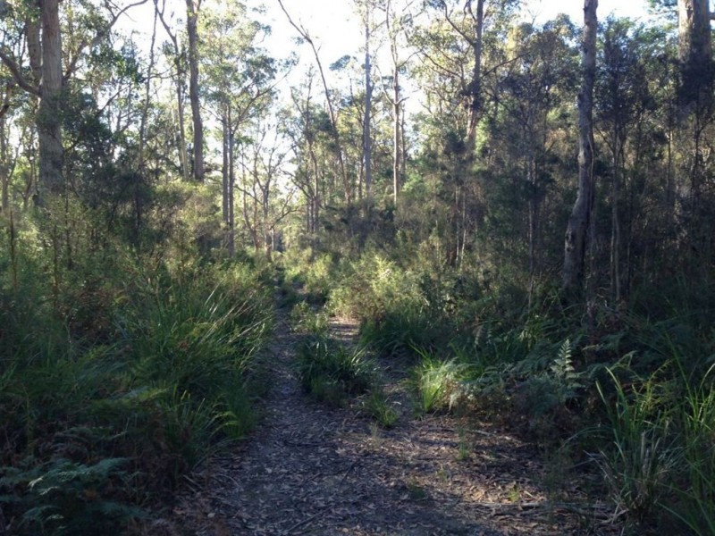 290 Collins Lane, Sidmouth TAS 7270