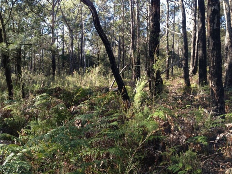 290 Collins Lane, Sidmouth TAS 7270