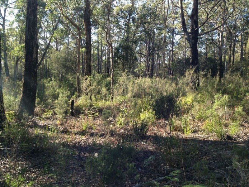 290 Collins Lane, Sidmouth TAS 7270