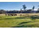 3198 West Tamar Hwy, Sidmouth TAS 7270