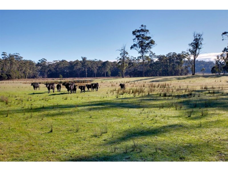 3198 West Tamar Hwy, Sidmouth TAS 7270