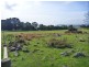 356 Clarence Point Road, Clarence Point TAS 7270