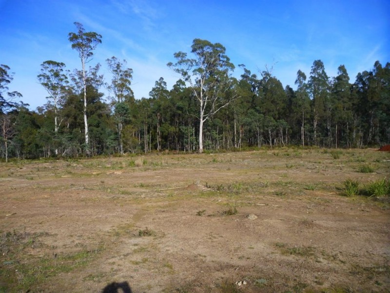 46 Berne Court, Grindelwald TAS 7277