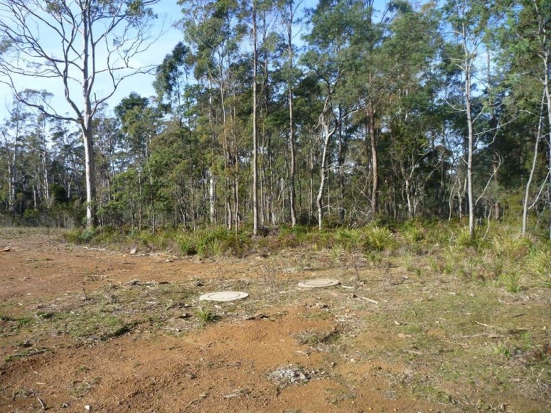 46 Berne Court, Grindelwald TAS 7277