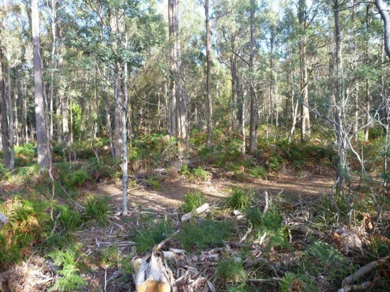 46 Berne Court, Grindelwald TAS 7277