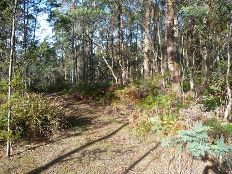 46 Berne Court, Grindelwald TAS 7277