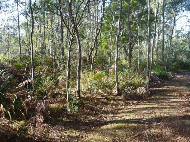 46 Berne Court, Grindelwald TAS 7277