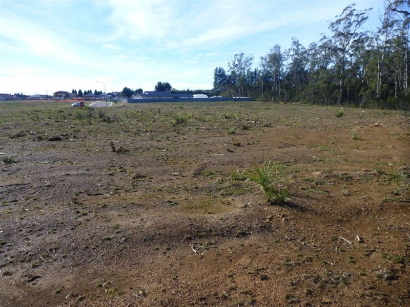 46 Berne Court, Grindelwald TAS 7277