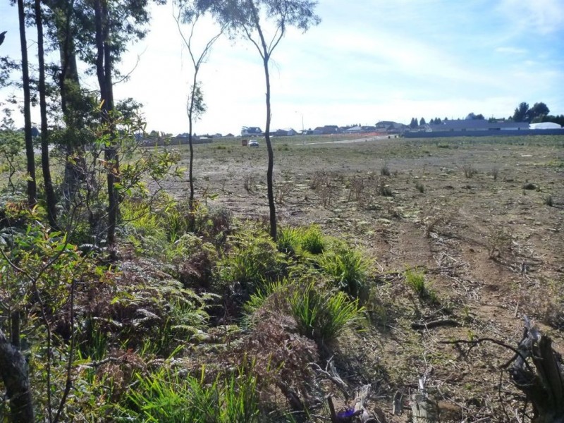 46 Berne Court, Grindelwald TAS 7277