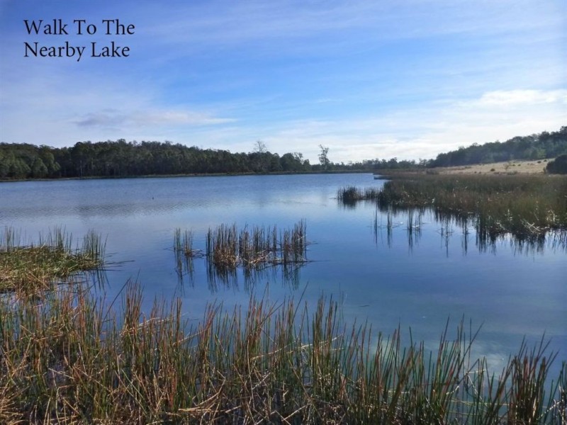 46 Berne Court, Grindelwald TAS 7277