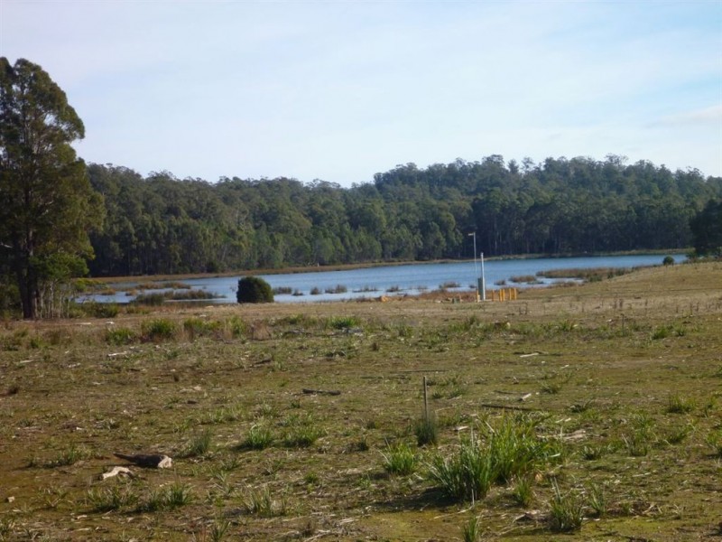 46 Berne Court, Grindelwald TAS 7277