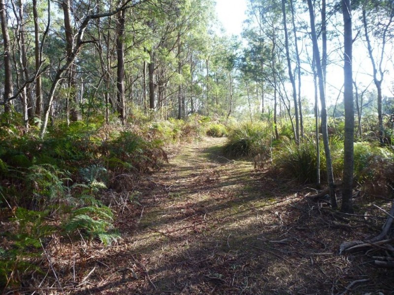 46 Berne Court, Grindelwald TAS 7277