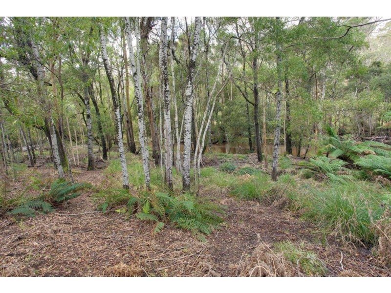 168 Main Road, Exeter TAS 7275