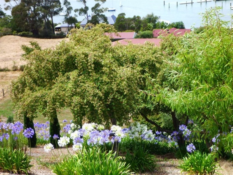 128 Oxford Street, Beauty Point TAS 7270