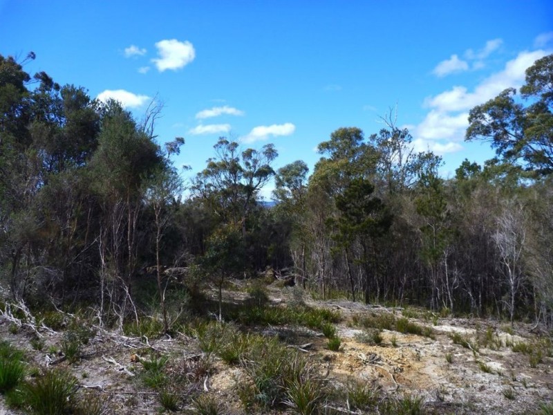 Lot 1/355 Bowens Road, York Town TAS 7270