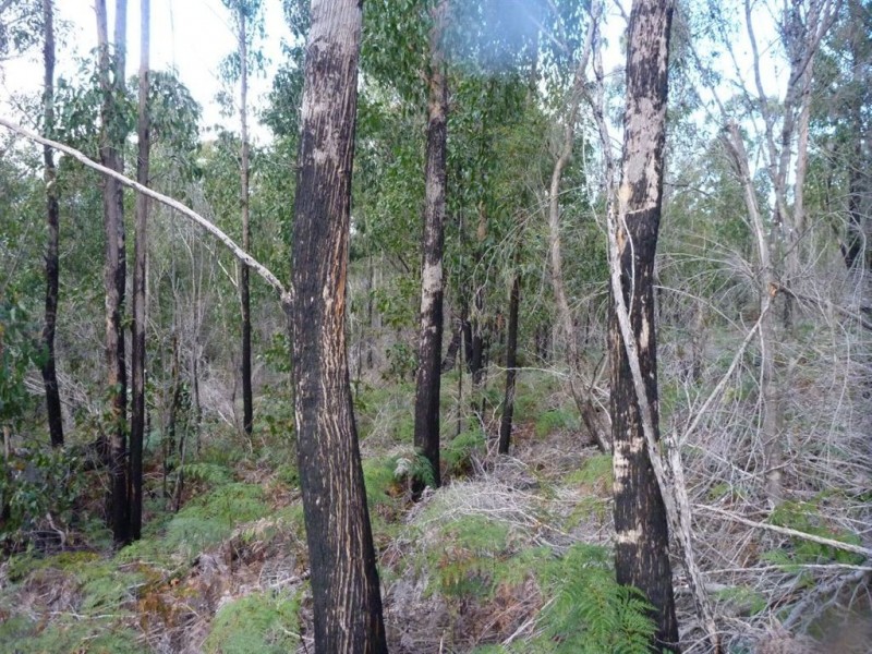 Lot 1/355 Bowens Road, York Town TAS 7270