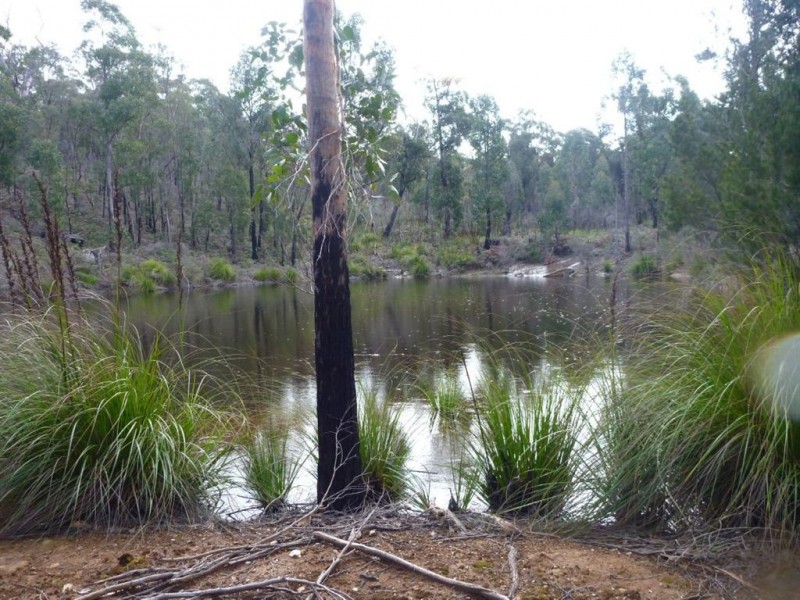 Lot 1/355 Bowens Road, York Town TAS 7270