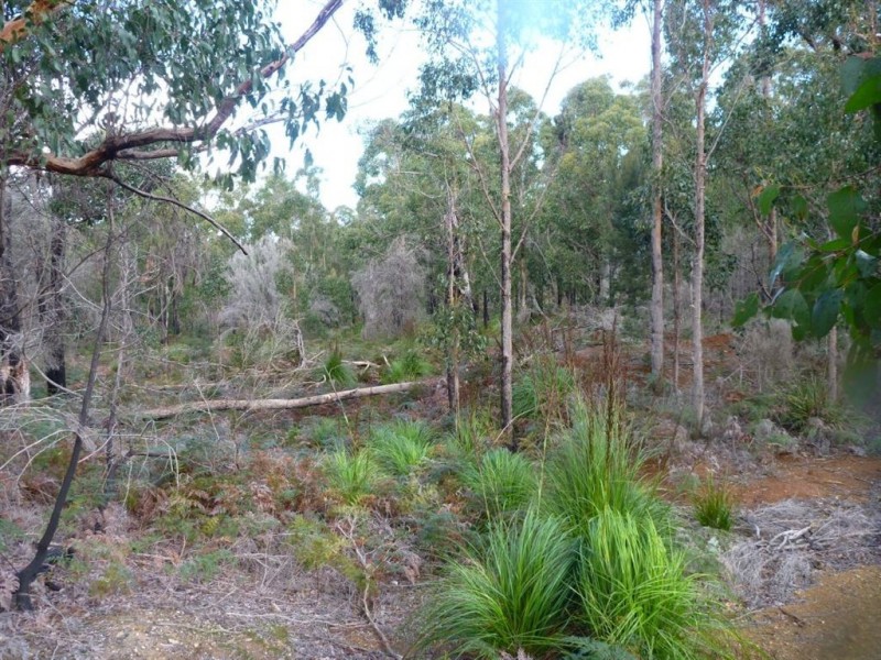 Lot 1/355 Bowens Road, York Town TAS 7270