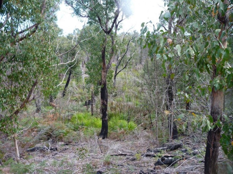 Lot 1/355 Bowens Road, York Town TAS 7270