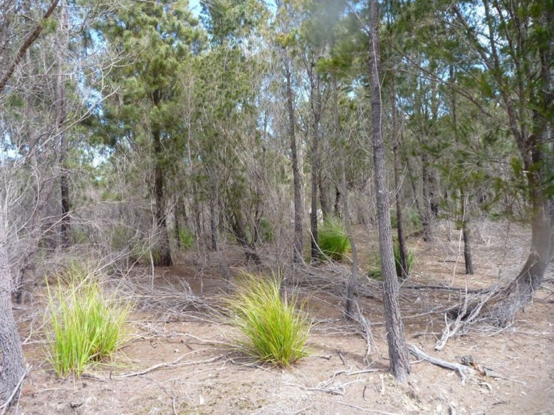 Lot 1/355 Bowens Road, York Town TAS 7270