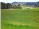 13 Stokes Lane, Bridgenorth TAS 7277
