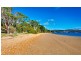 206 Paper Beach Road, Swan Point TAS 7275
