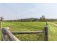 350 Long Plains Road, Bridgenorth TAS 7277