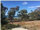 110 Top Rd West, Greens Beach TAS 7270