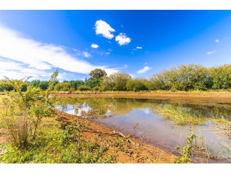 1666 Bridgenorth Road, Rosevale TAS 7292