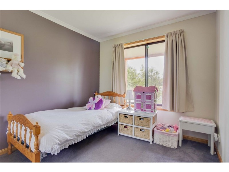 707 Winkleigh Road, Winkleigh TAS 7275