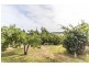 16 Brooklyn Street, Beaconsfield TAS 7270