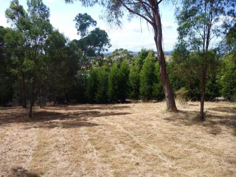 13 Bradys Lookout Road, Rosevears TAS 7277