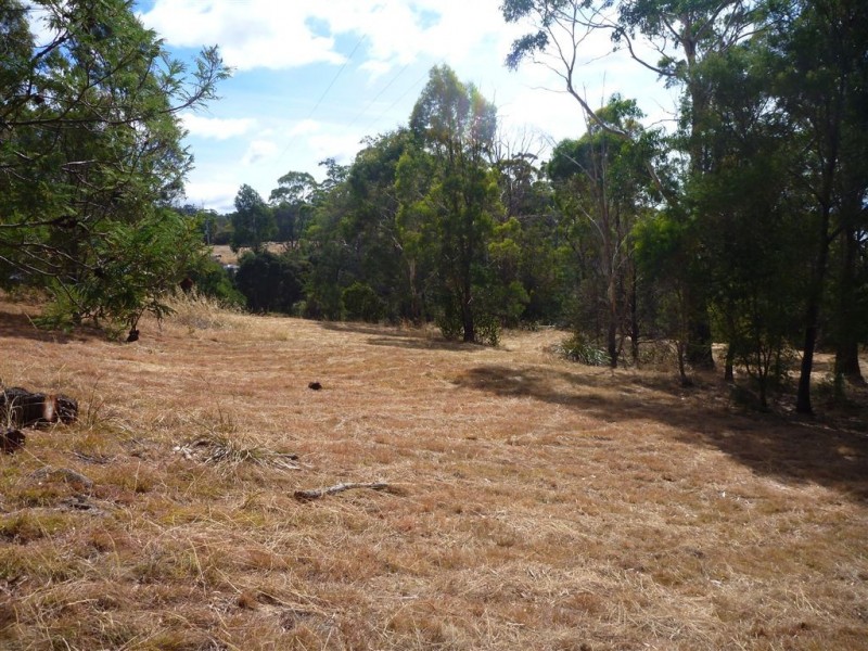 13 Bradys Lookout Road, Rosevears TAS 7277