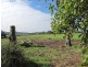 22 Brodies Road, Rowella TAS 7270