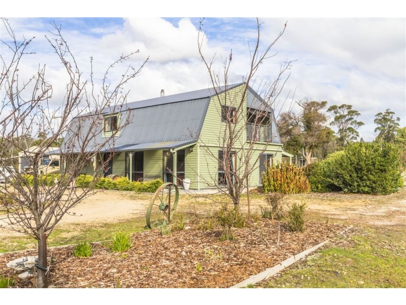 375 Badger Head Road, Badger Head TAS 7270