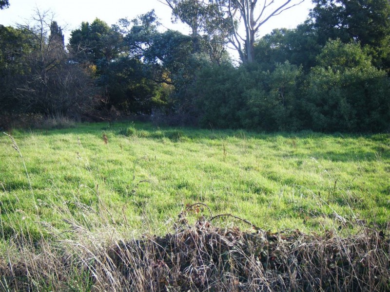 3 Reibey street, Beaconsfield TAS 7270