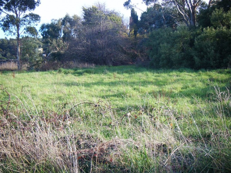 3 Reibey street, Beaconsfield TAS 7270