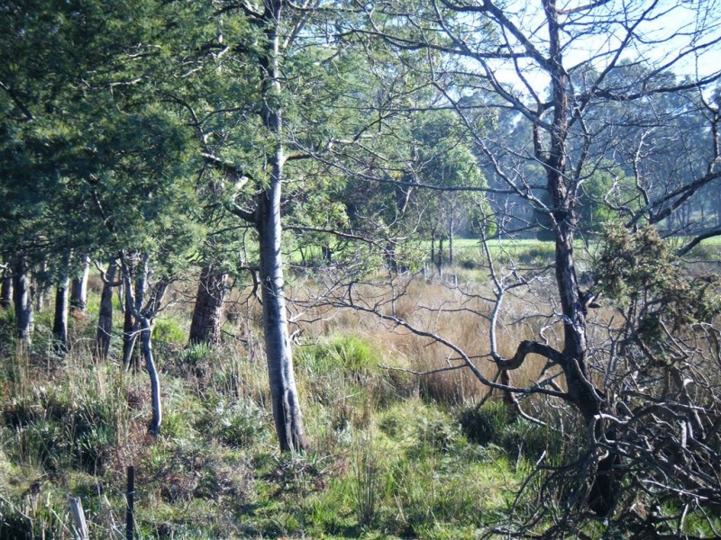 Lot 1 Winkleigh Road, Exeter TAS 7275