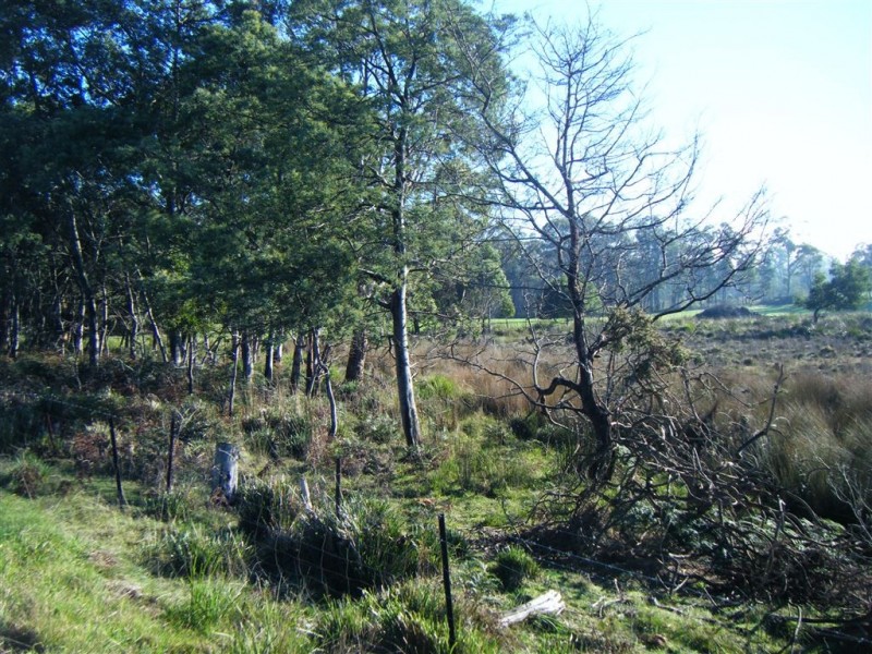 Lot 1 Winkleigh Road, Exeter TAS 7275