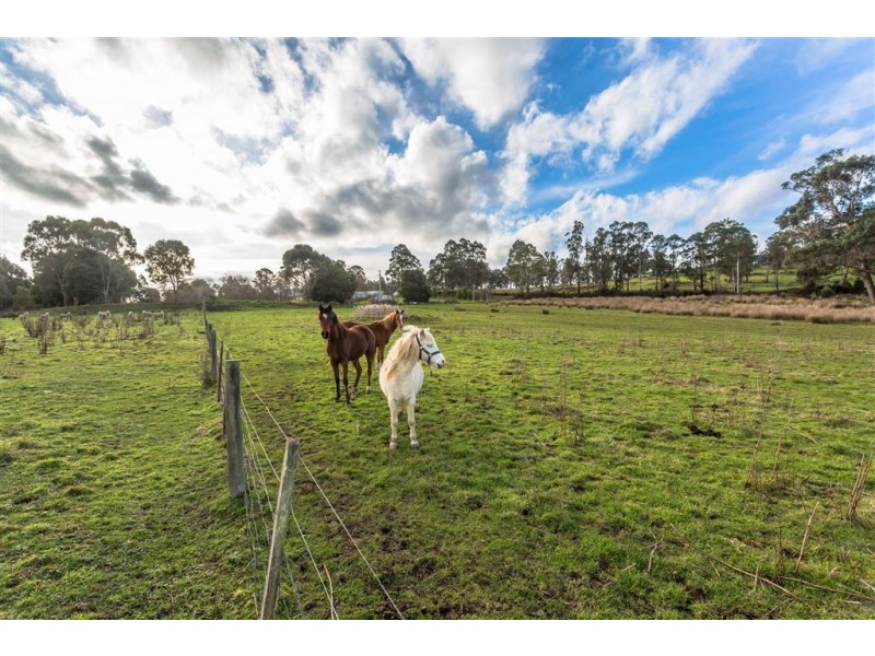 885 Winkleigh Rd, Winkleigh TAS 7275