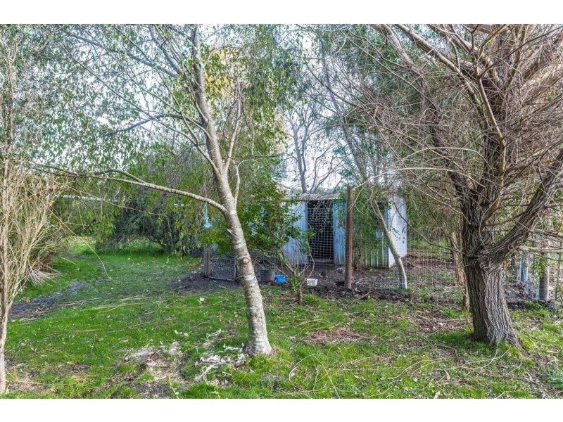 885 Winkleigh Rd, Winkleigh TAS 7275